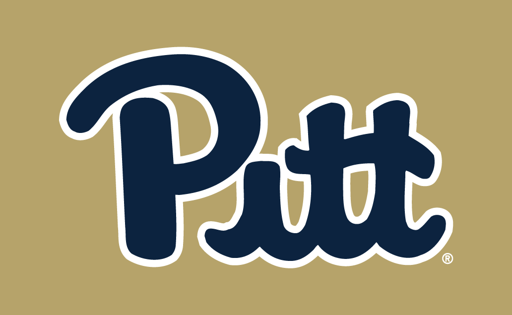 Pittsburgh Panthers 2016-2018 Alternate Logo v3 iron on transfers for clothing